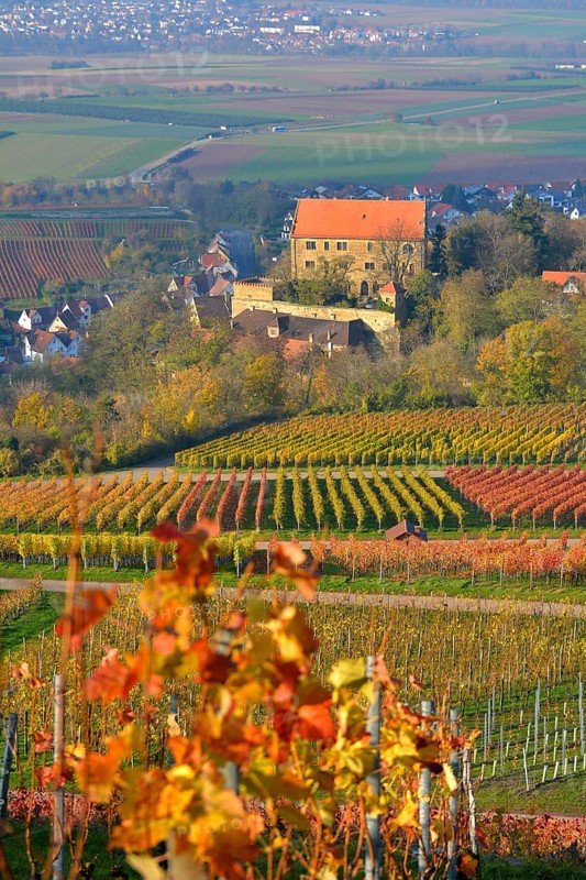 Baden-Wuerttemberg
