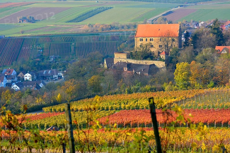 Baden-Wuerttemberg