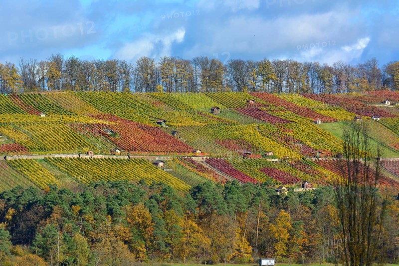 Maulbronn
