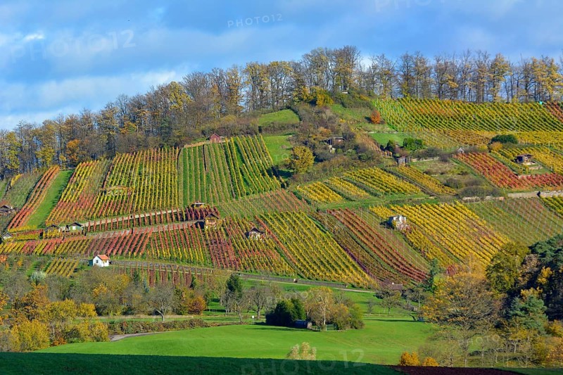 Maulbronn