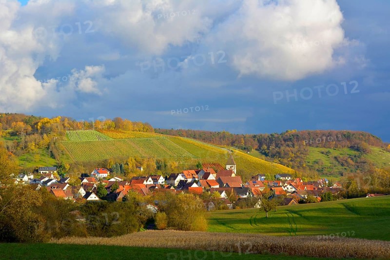 BW. Wuerttemberg wine landscape in autumn near Haefnerhaslach