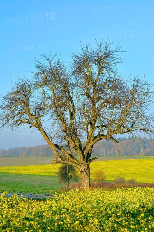 BW. Wuerttemberg Autumn landscape