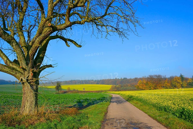 BW. Wuerttemberg Autumn landscape