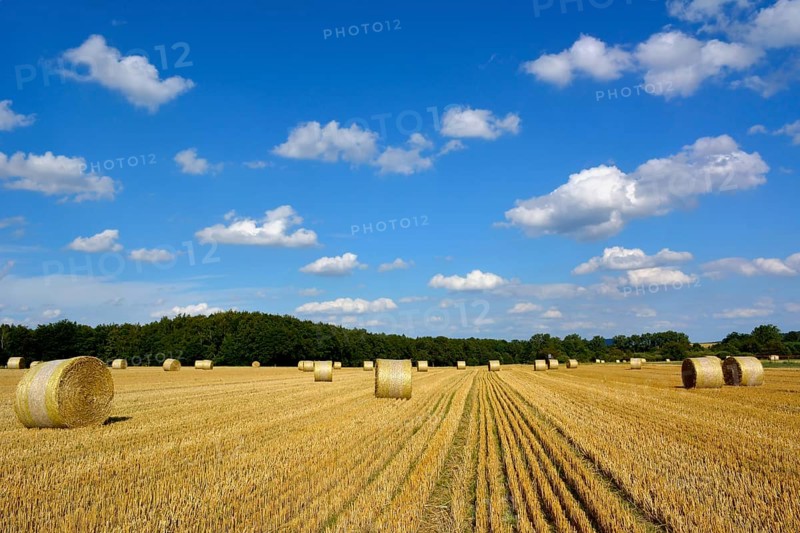 Maulbronn