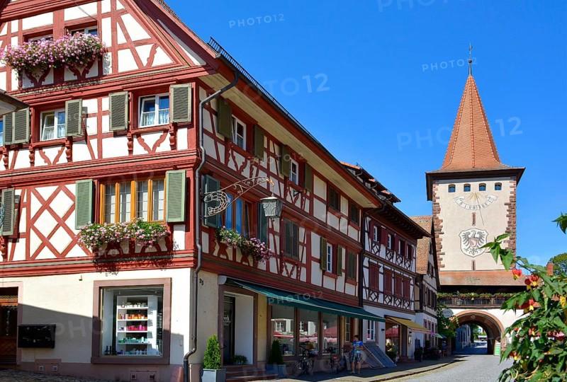 Black Forest