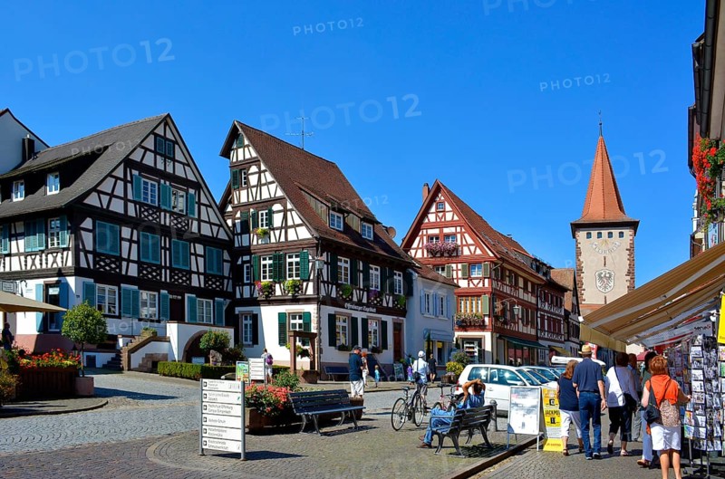 Black Forest