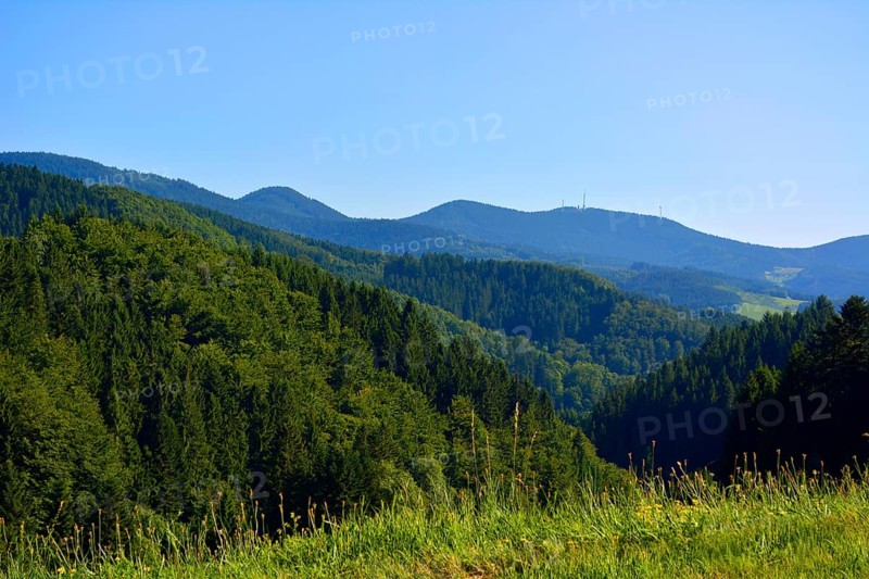 Black Forest