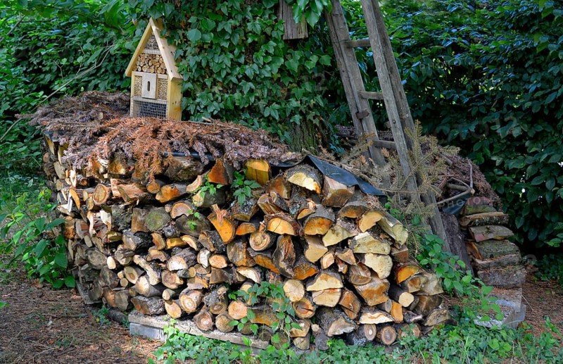 Firewood store in the garden