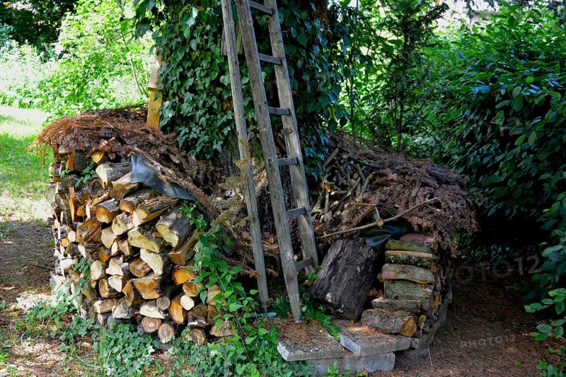 Firewood store in the garden