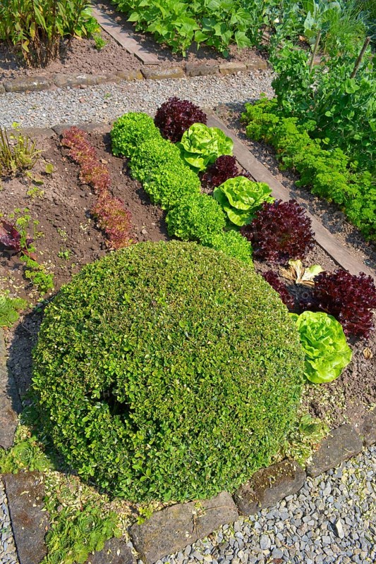 Farm garden