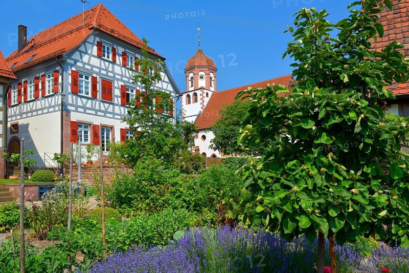 Farm garden