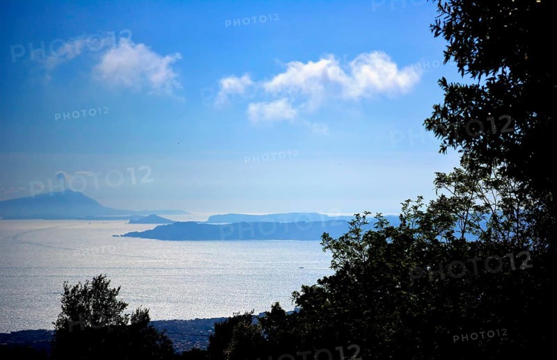 Iscia and Procida