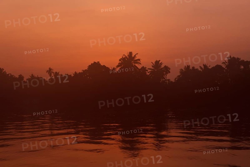 Sunrise on Kerala Backwaters. Kerala
