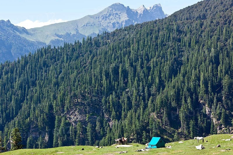 Camp in Himalayas mountains. Kullu Valley