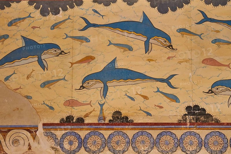 Dolphins