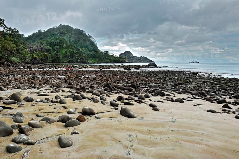 Rocky beach and jungle