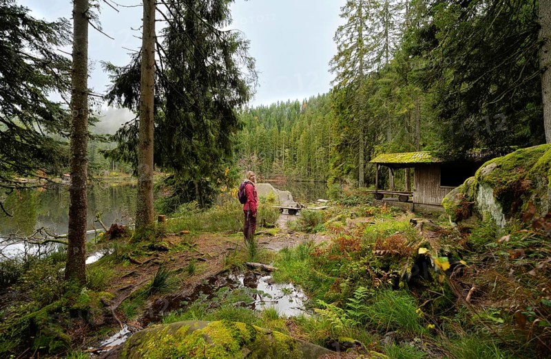 Woman in nature