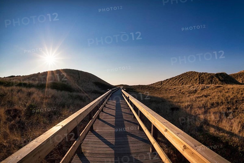 Wooden footbridge in the dunes