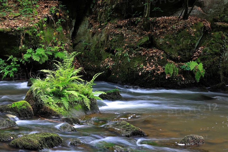 Stream