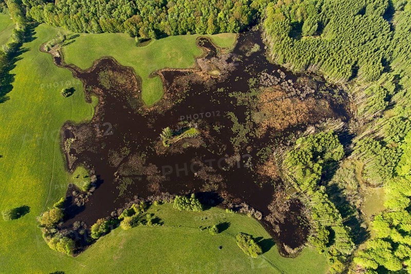 Feldberger Seenlandschaft