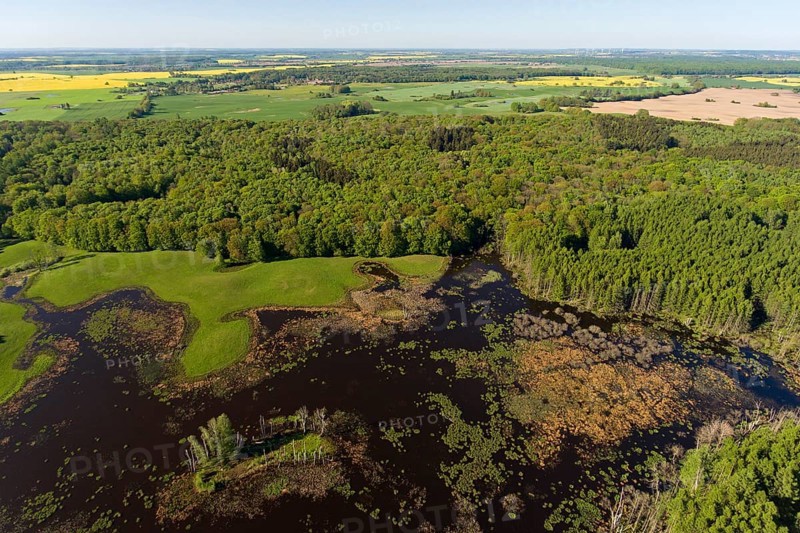 Feldberger Seenlandschaft