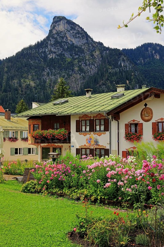 Residential house