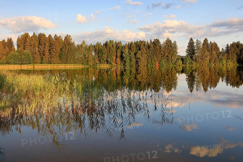 Hergatsried Lake