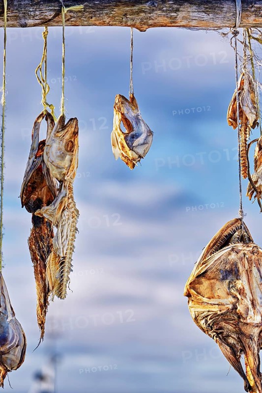 Dried fish