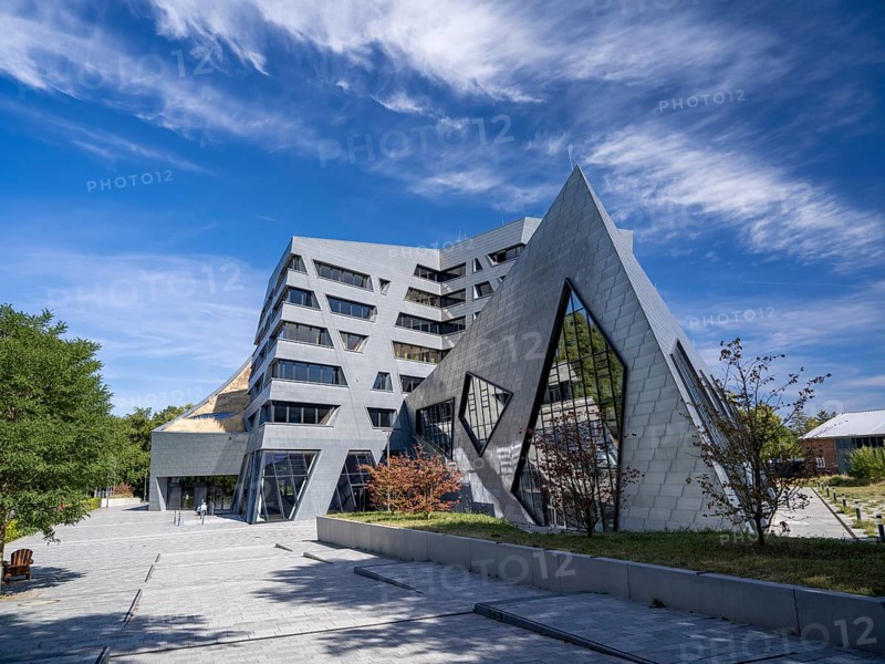 Leuphana University