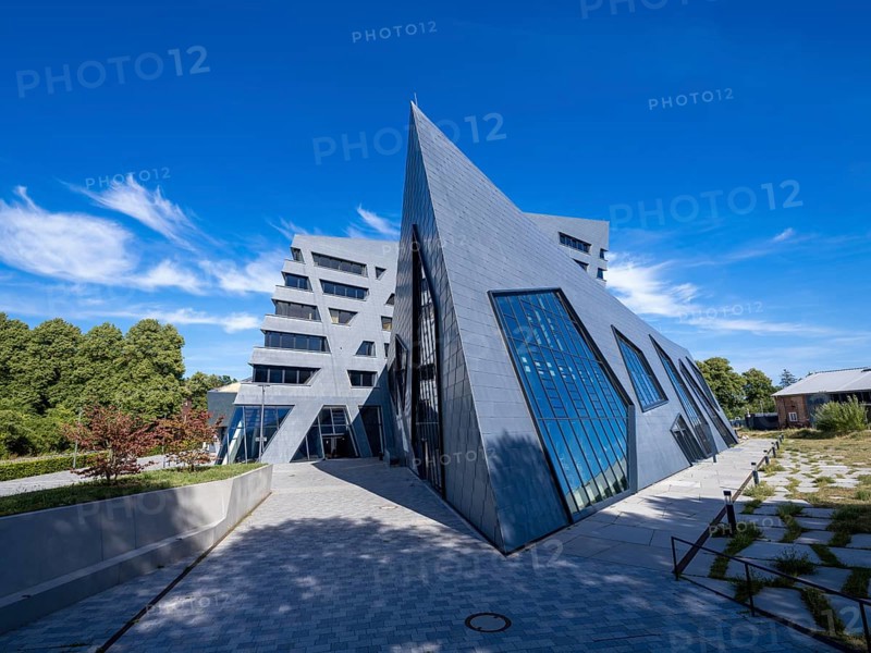Leuphana University
