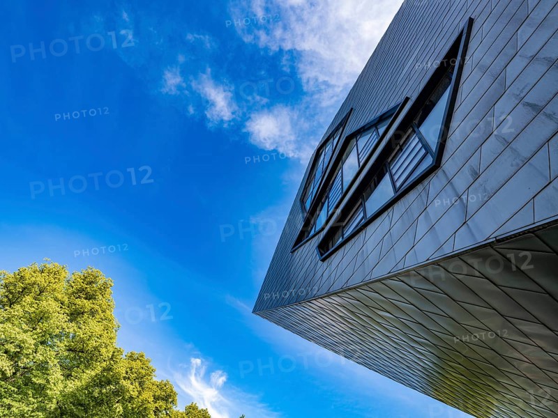 Leuphana University