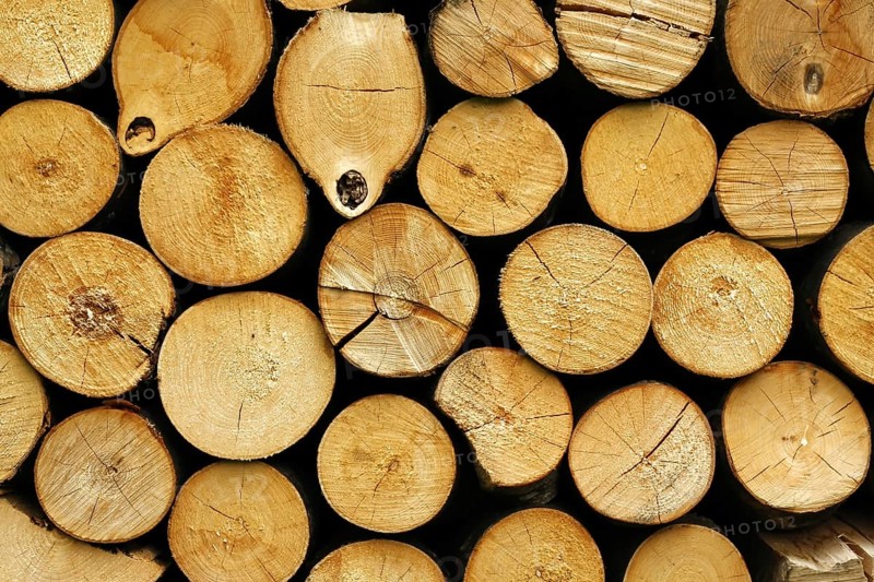 Firewood logs dried and stacked ready for the stove