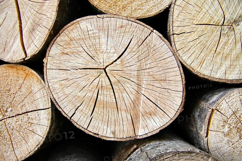 Firewood logs dried and stacked ready for the stove