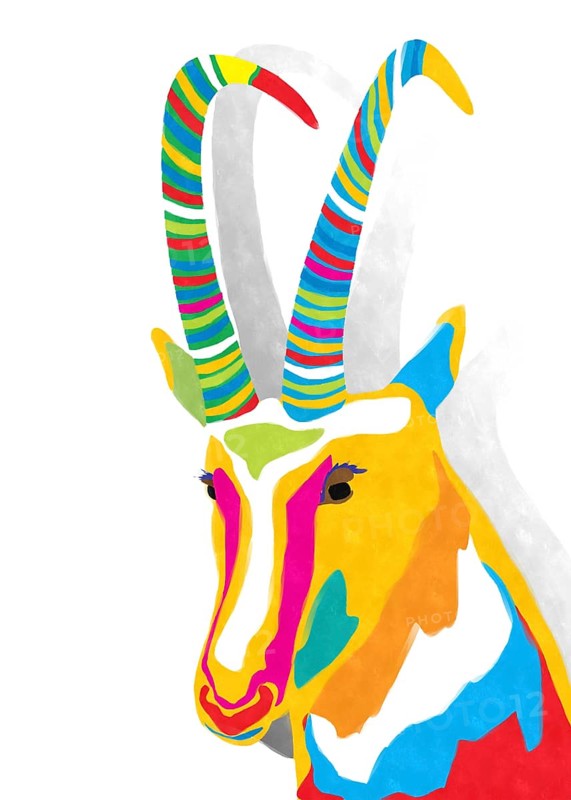 Watercolor style drawing of colored goat against white background