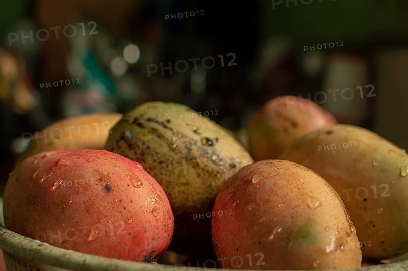 Fresh washed mangoes put in a bowl in the kitchen