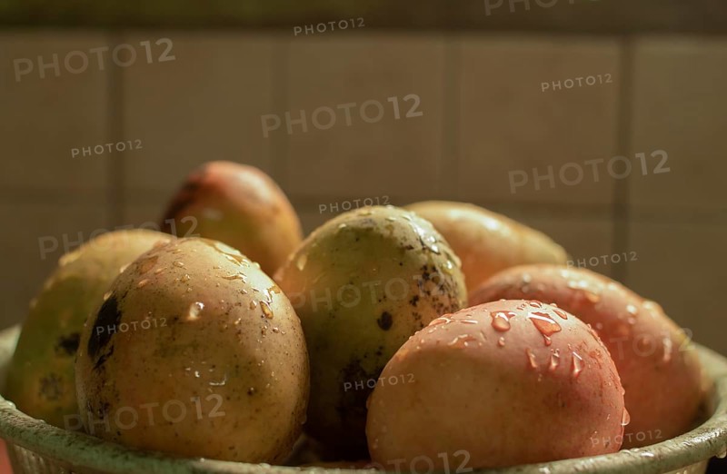 Ripe mangoes with water drops on bowl