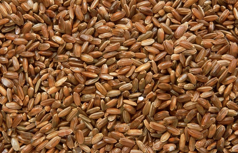 Rice