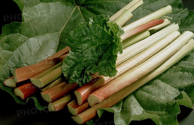 Rhubarb