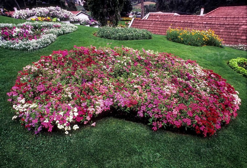 The Government Botanical garden in Udhagamandalam Ooty