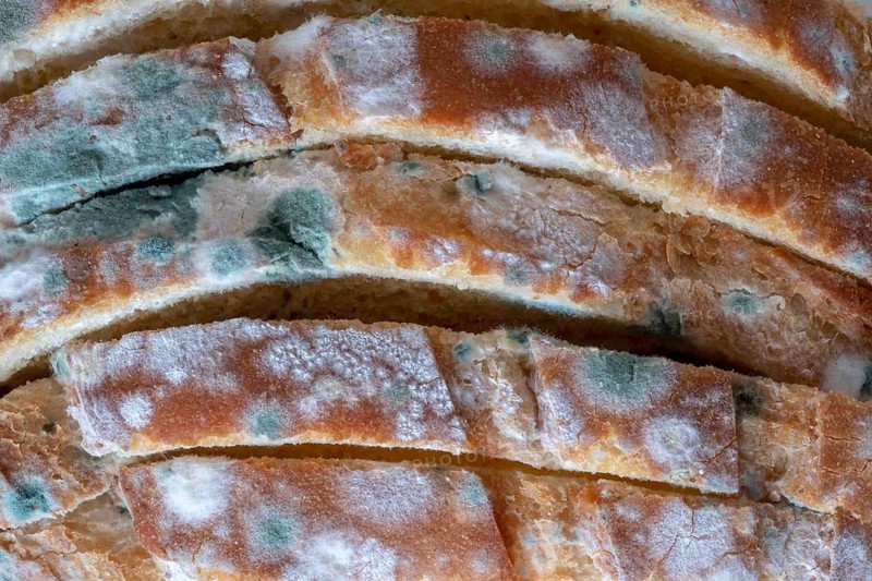 Macro view of moldy bread slices