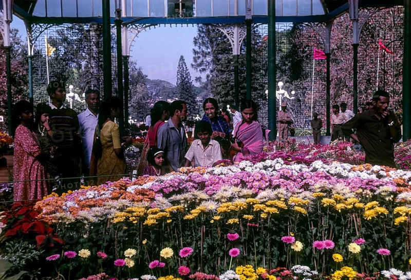 Flower show in glass house at Lal Bagh botanical gardens in Bengaluru Bangalore