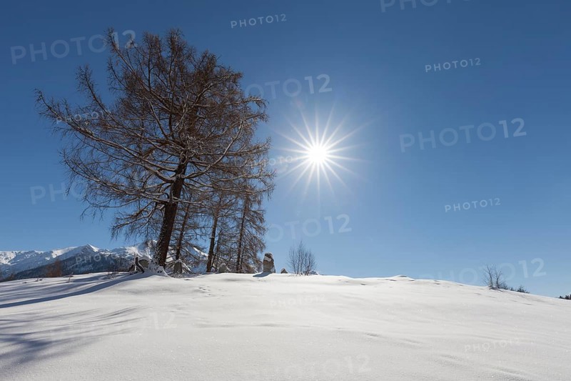 Winter landscape