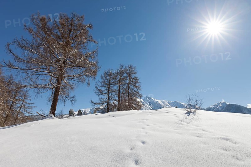 Winter landscape