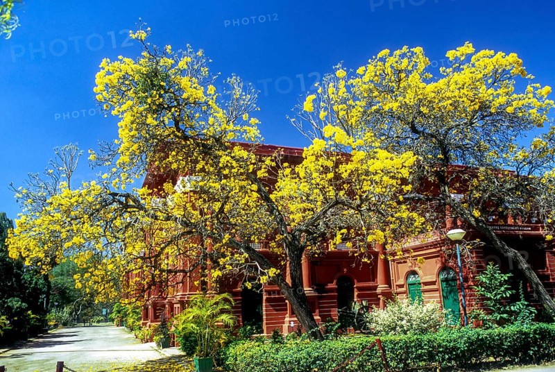 Venkatappa Art Gallery