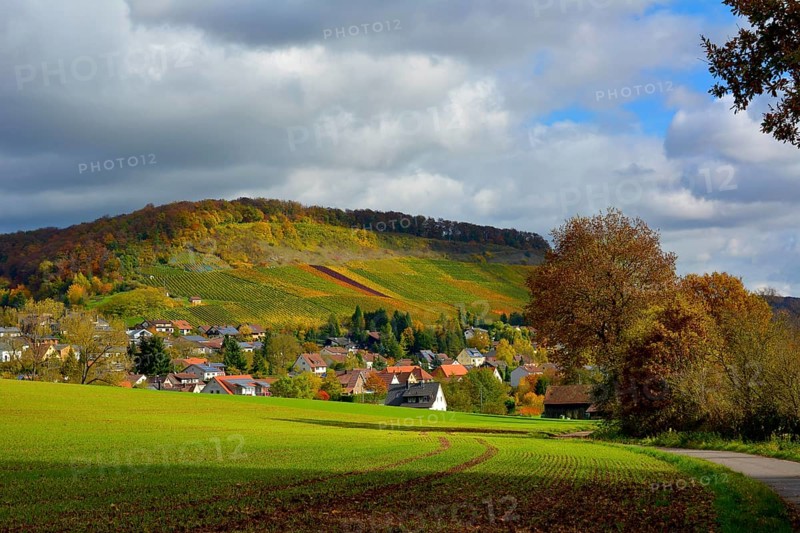 BW. Schuetzingen