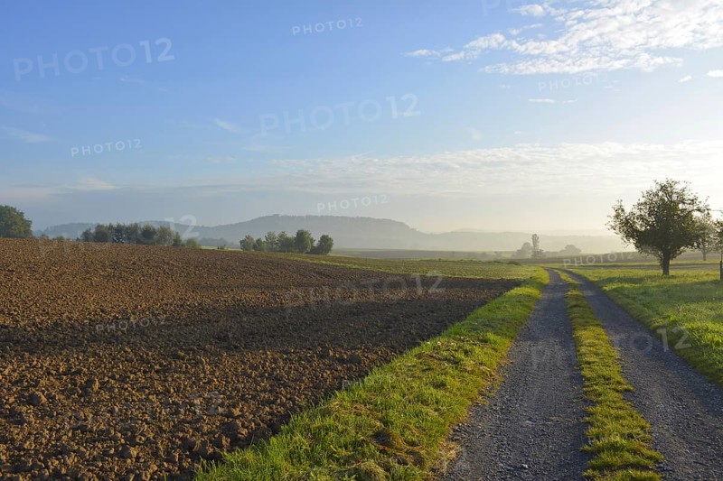 D-BW. Mood with sun near Schmie-Maulbronn