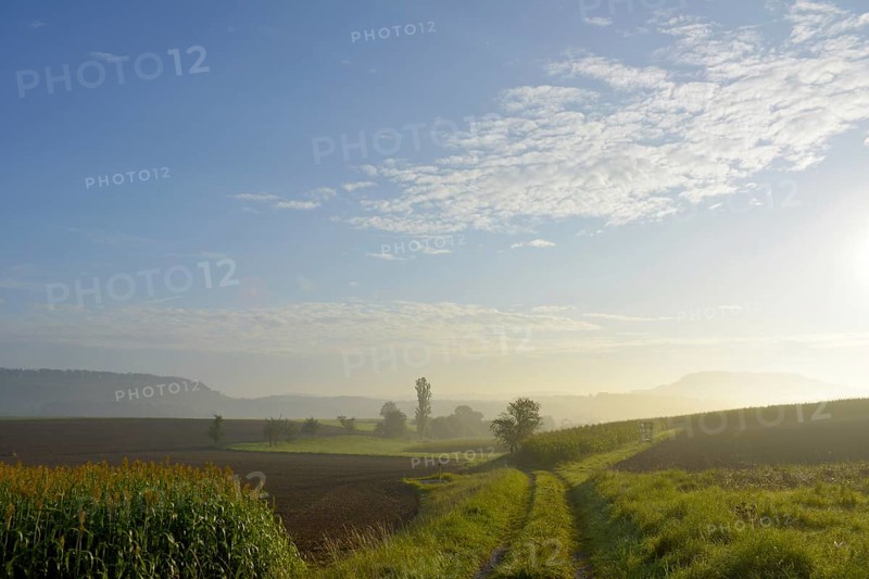 D-BW. Mood with sun near Schmie-Maulbronn