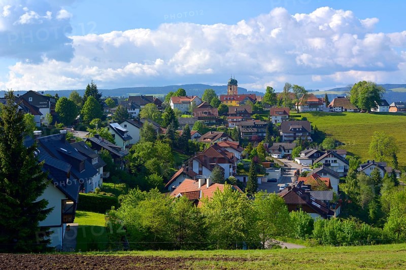 Black Forest