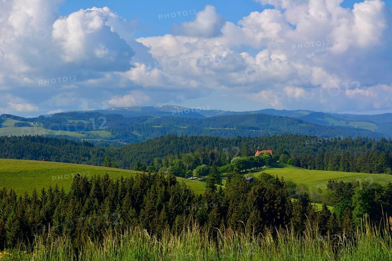 Black Forest