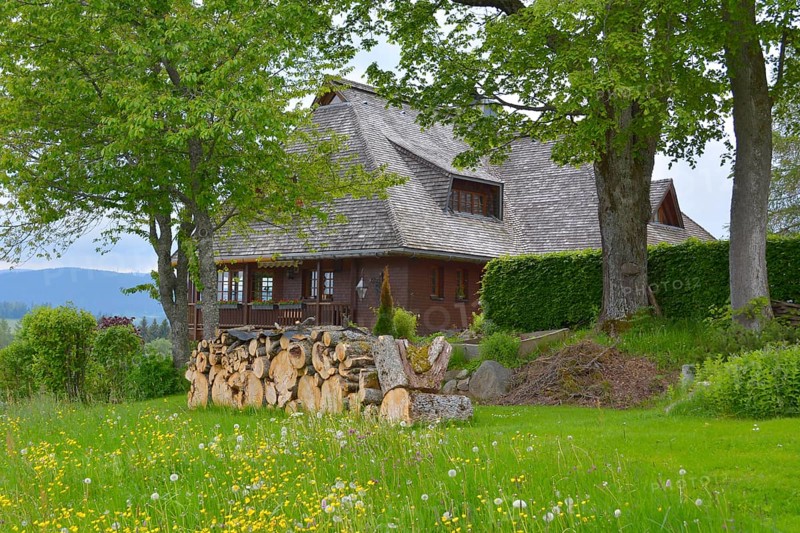 Black Forest